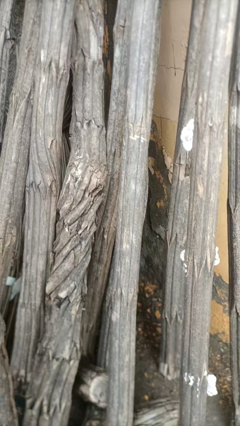 六道木可深加工规格齐全欢迎☎️联系量大优惠