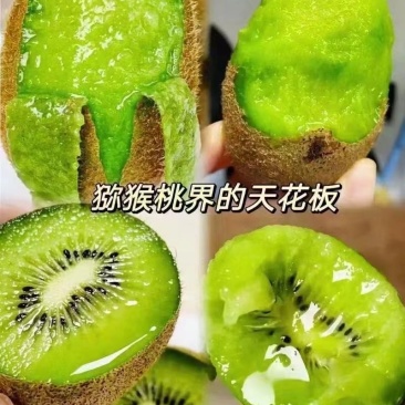 周至猕猴桃发源地自家果园现摘现发，翠香🥝超值水果，