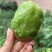 周至猕猴桃发源地自家果园现摘现发，翠香🥝超值水果，