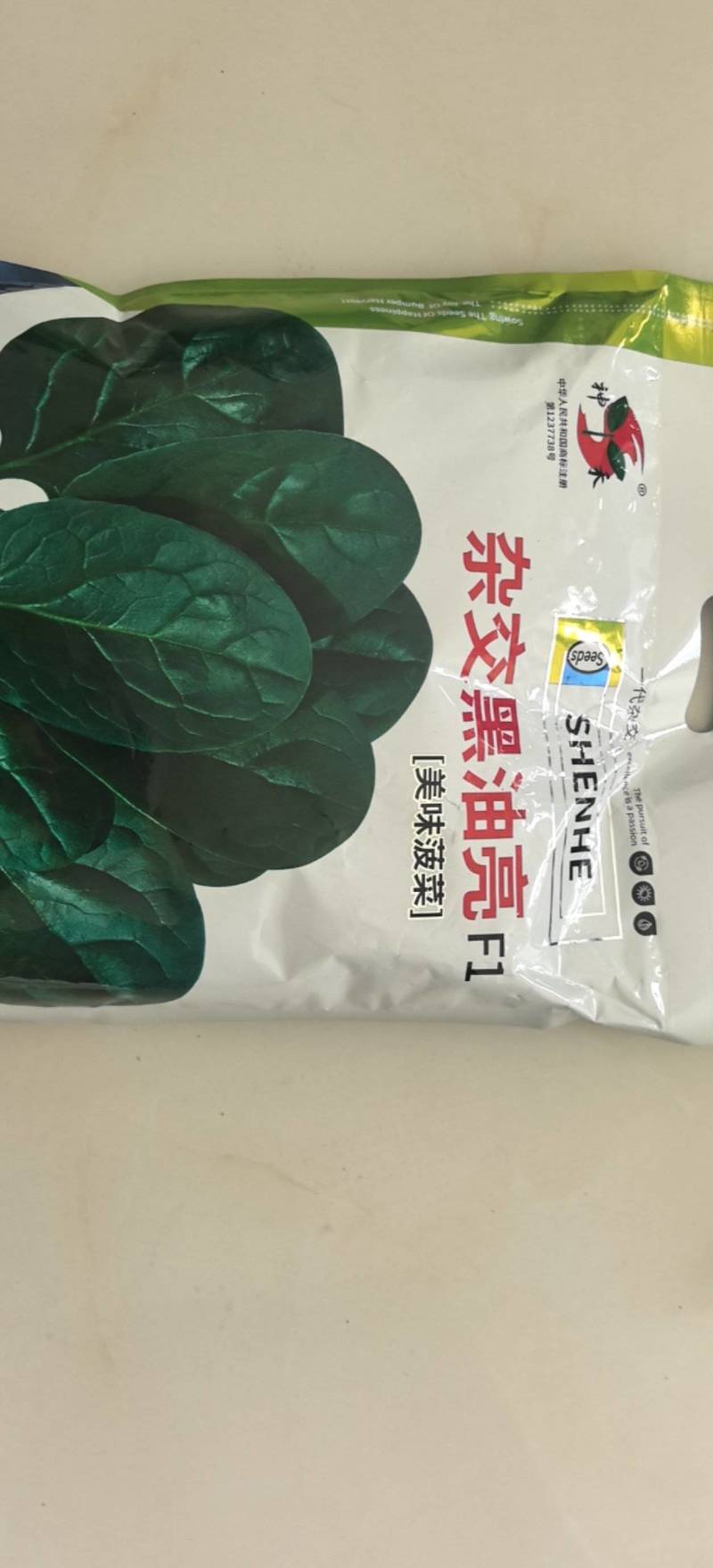杂交黑油亮耐寒菠菜种子耐抽薹半圆黑叶厚菠菜高产