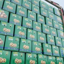 新货新疆185纸皮核桃33大幸福核桃
