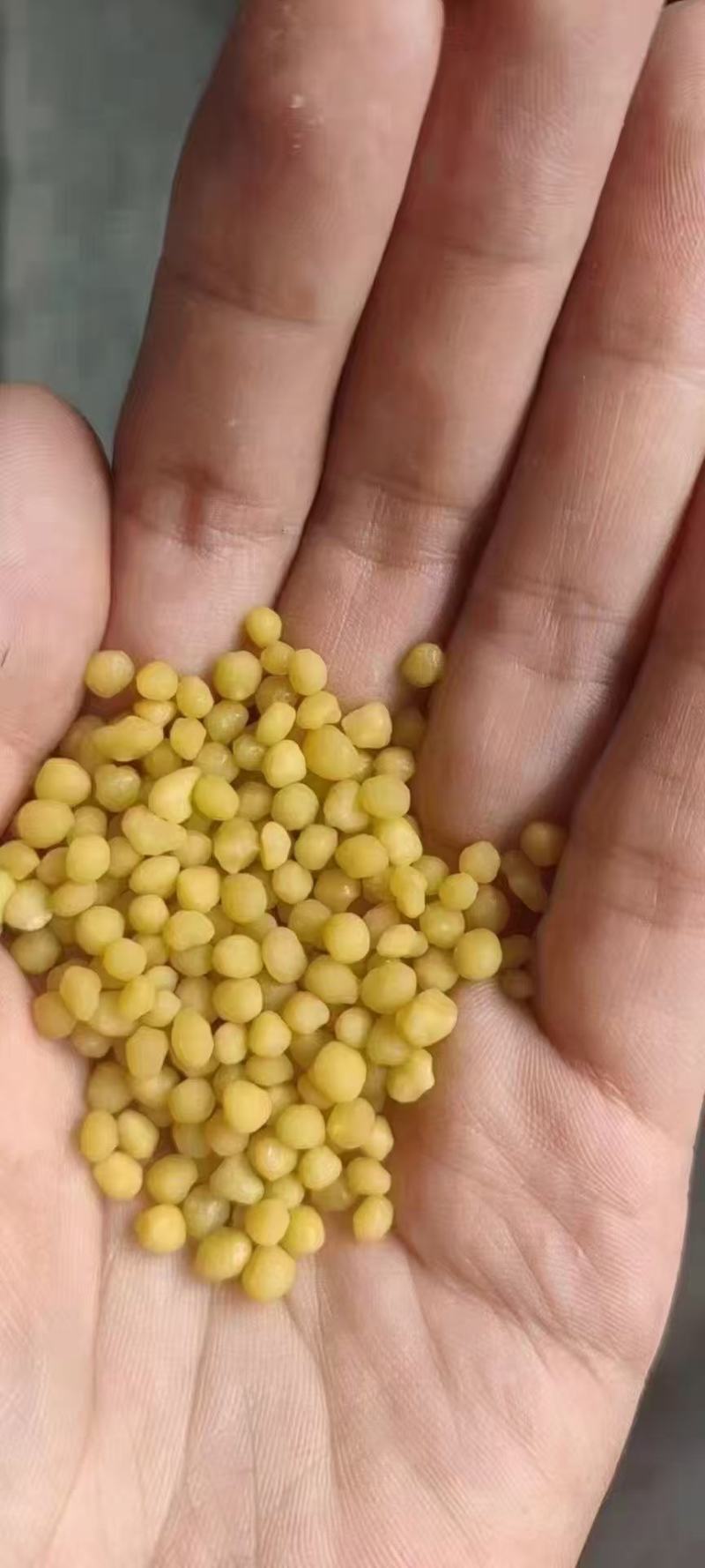 磷酸二铵水稻瓜果蔬菜厂家直供磷肥
