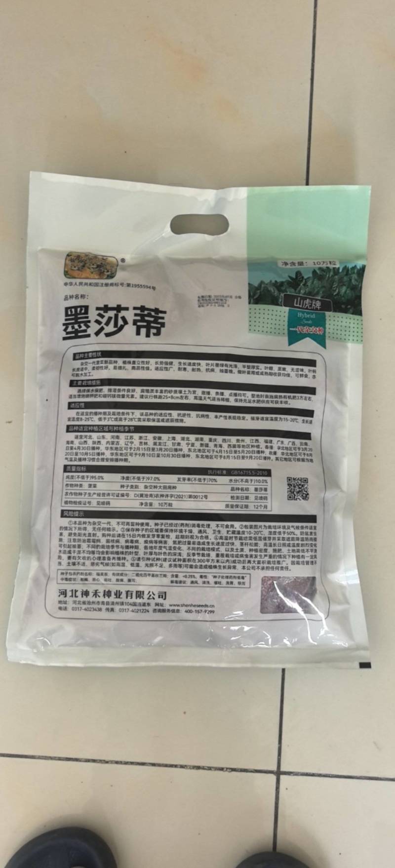 菠菜种子墨莎蒂杂交菠菜种子墨绿油光泽耐寒耐热基地