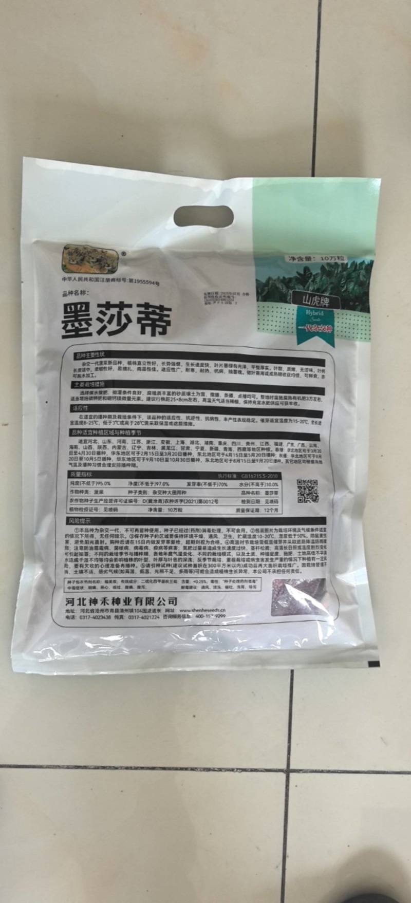 菠菜种子墨莎蒂杂交菠菜种子墨绿油光泽耐寒耐热基地