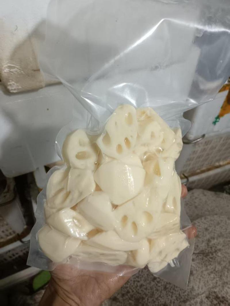 真空粉藕