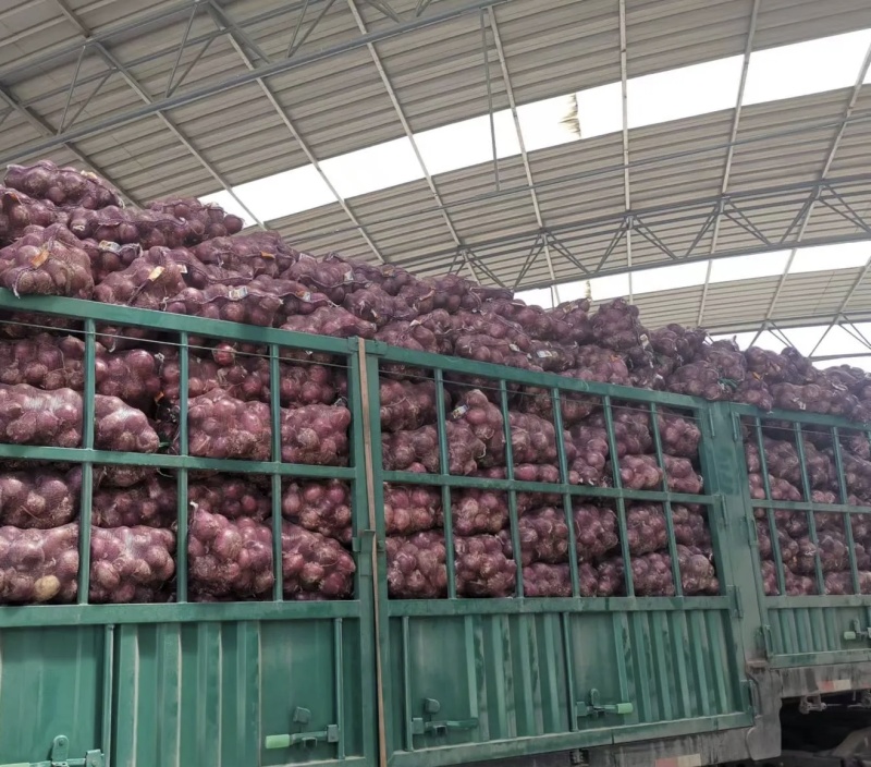 葱头产地直销，量大从优，质量上乘，欢迎咨询