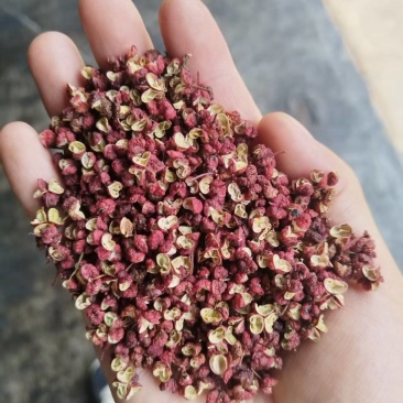 甘肃红花椒/甘肃大红袍花椒/对接全国电商各平台/一件代发