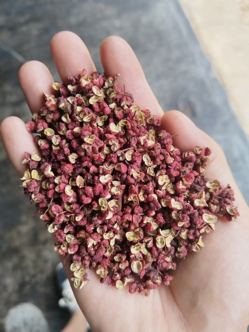 甘肃红花椒/甘肃大红袍花椒/对接全国电商各平台/一件代发