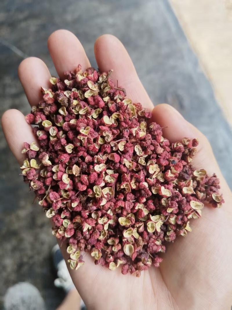 甘肃红花椒/甘肃大红袍花椒/对接全国电商各平台/一件代发