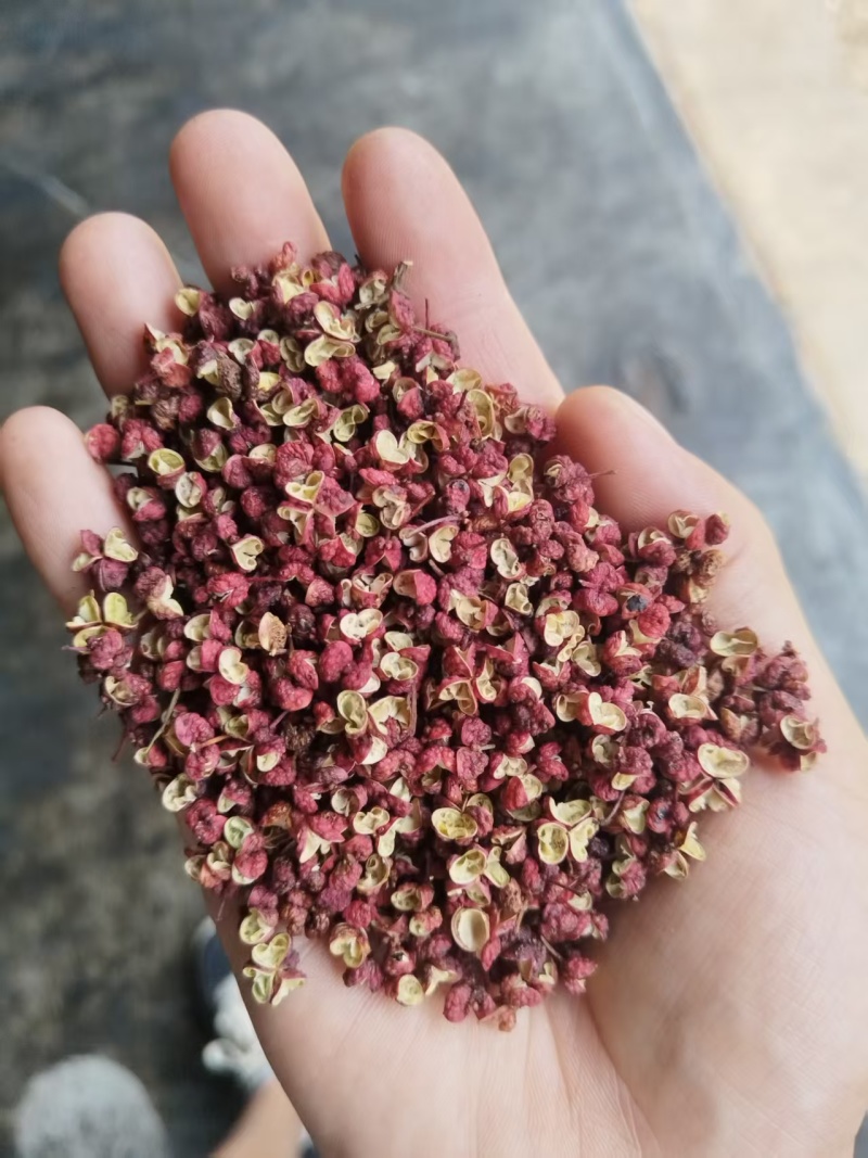 甘肃红花椒/甘肃大红袍花椒/对接全国电商各平台/一件代发