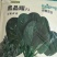 菠菜种子黑晶耀杂交菠菜种子墨绿叶耐寒耐热耐抽苔