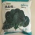 菠菜种子黑晶耀杂交菠菜种子墨绿叶耐寒耐热耐抽苔