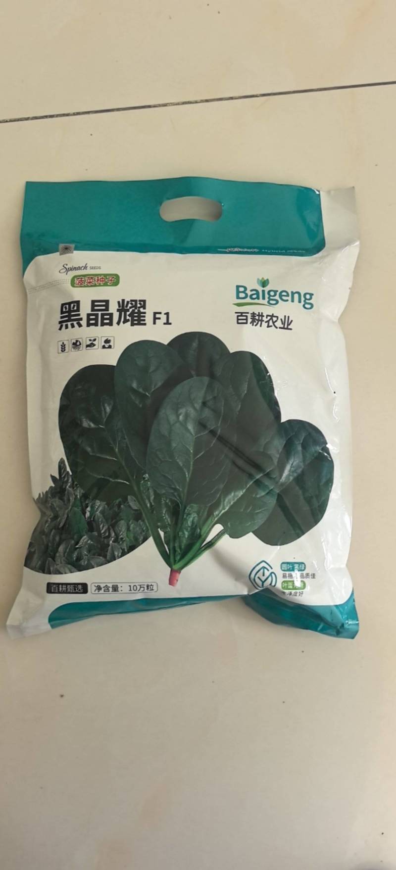 菠菜种子黑晶耀杂交菠菜种子墨绿叶耐寒耐热耐抽苔