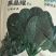 菠菜种子黑晶耀杂交菠菜种子墨绿叶耐寒耐热耐抽苔