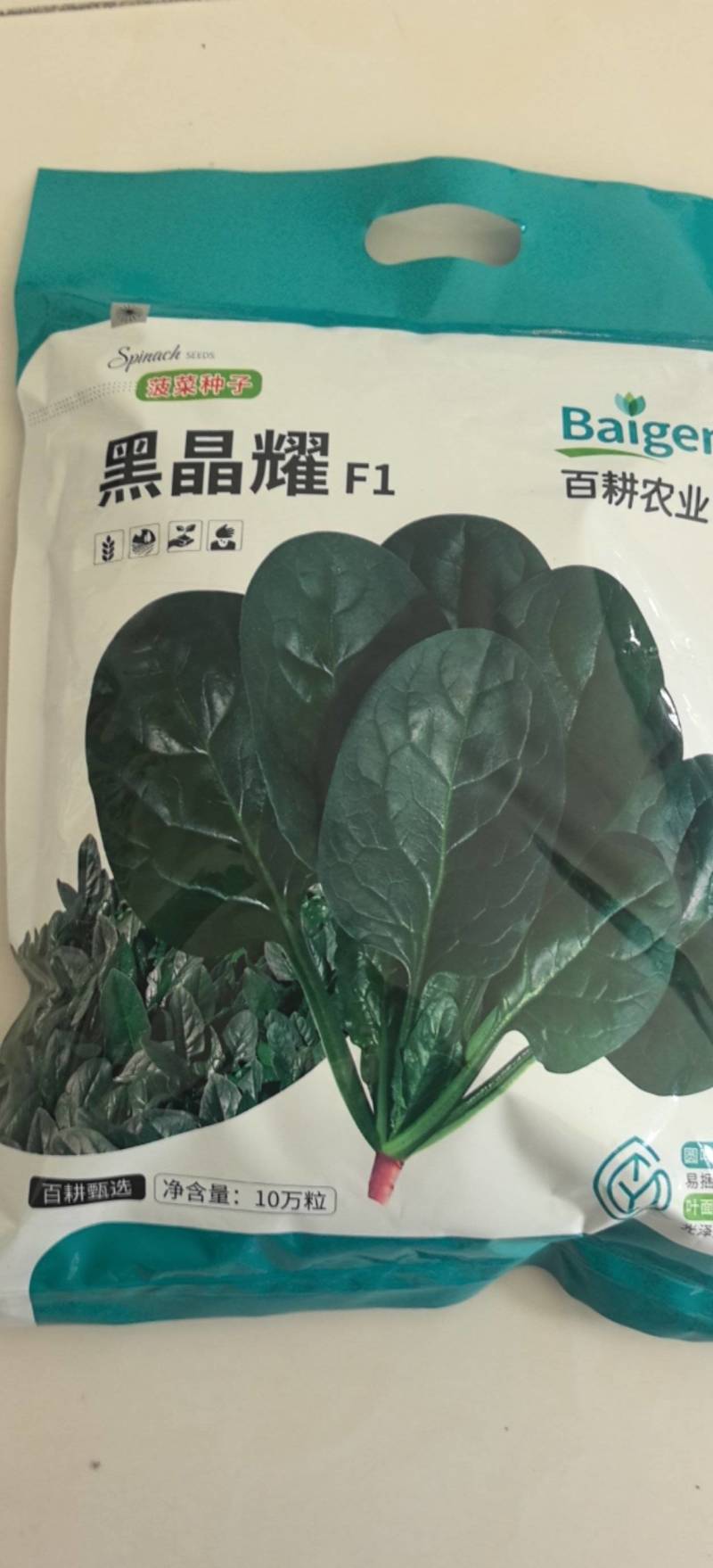 菠菜种子黑晶耀杂交菠菜种子墨绿叶耐寒耐热耐抽苔