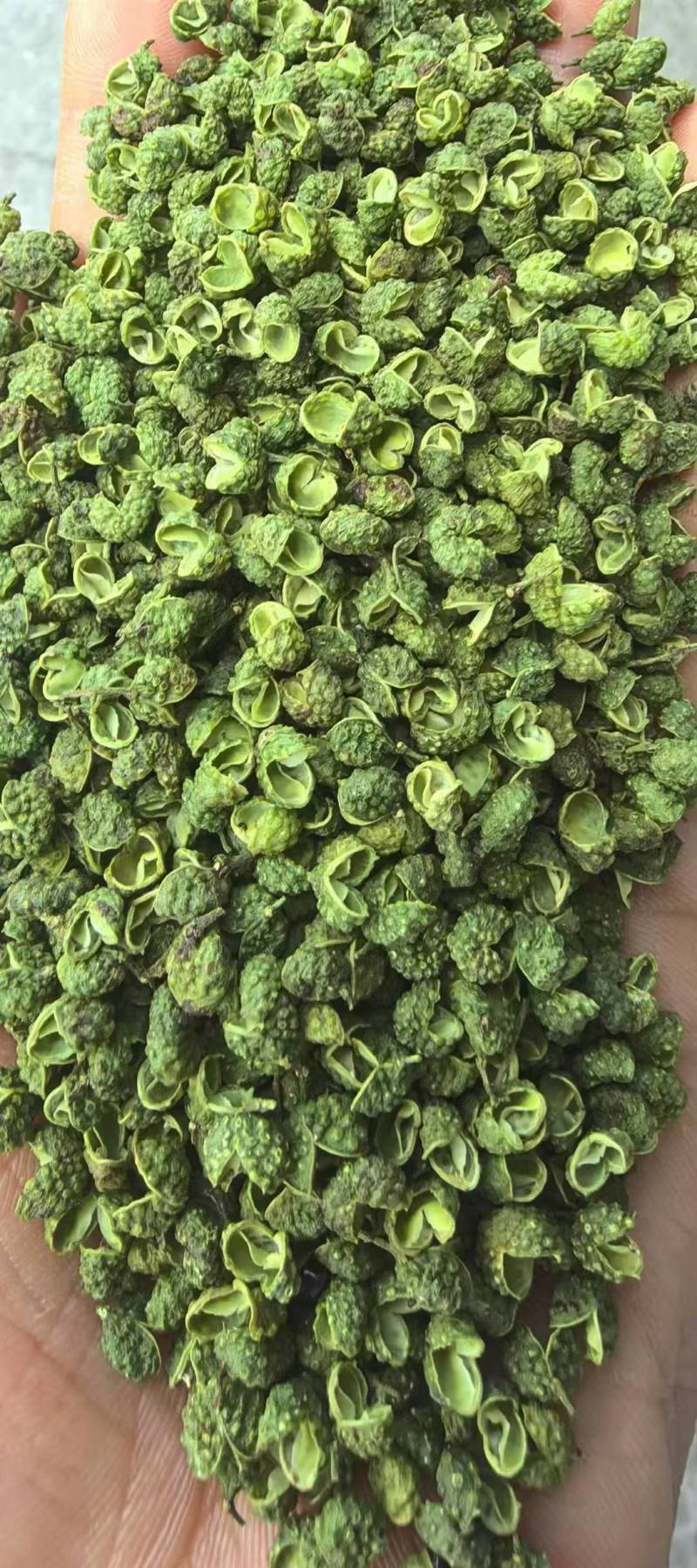 云南青花椒/青花椒/抖音快手多多一件代发对接电商