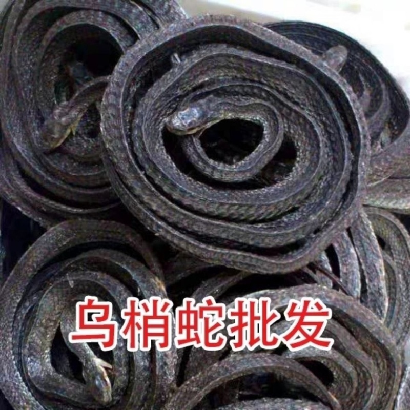 中药乌肖蛇正品整条不碎中药材一级乌蛇泡酒蛇批发零售