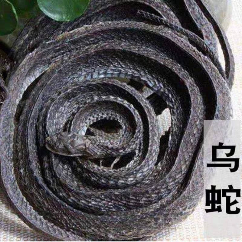 中药乌肖蛇正品整条不碎中药材一级乌蛇泡酒蛇批发零售