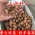 毛桃种子今年新采野毛桃树种子毛桃核种子桃树种子量大价优