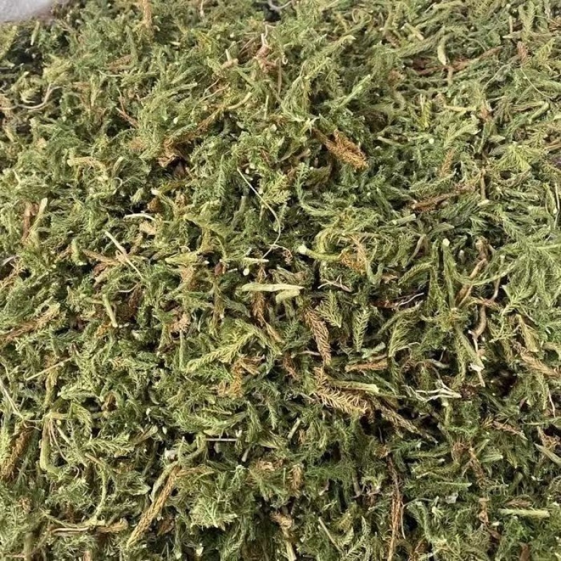 伸筋草中药材正品野生无硫新货批发舒筋草深山采挖***野生