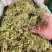 伸筋草中药材正品野生无硫新货批发舒筋草深山采挖***野生