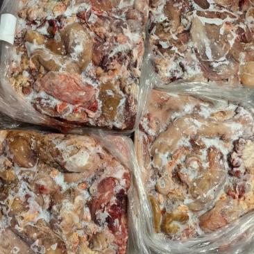 本地黄牛胎盘纯干干净有长期稳定供应能力