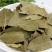 正宗广西香叶头茬新货香辛料调味品批发卤料炒菜炖肉调料香叶