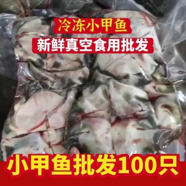 外塘鲜活现杀甲鱼水鱼团鱼批发价食用大小麻辣真空卤甲鱼生态