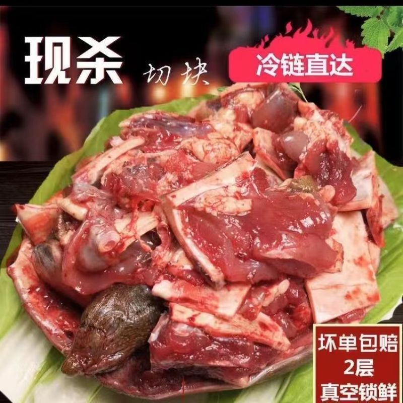 外塘鲜活现杀甲鱼水鱼团鱼批发价食用大小麻辣真空卤甲鱼生态