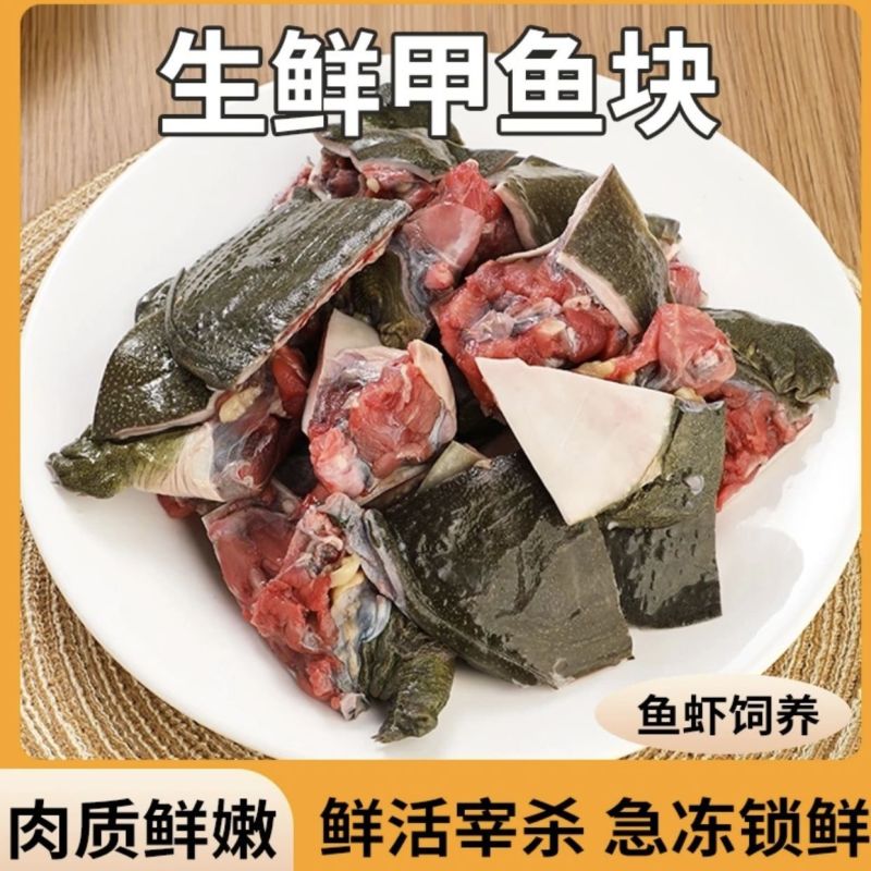 外塘鲜活现杀甲鱼水鱼团鱼批发价食用大小麻辣真空卤甲鱼生态