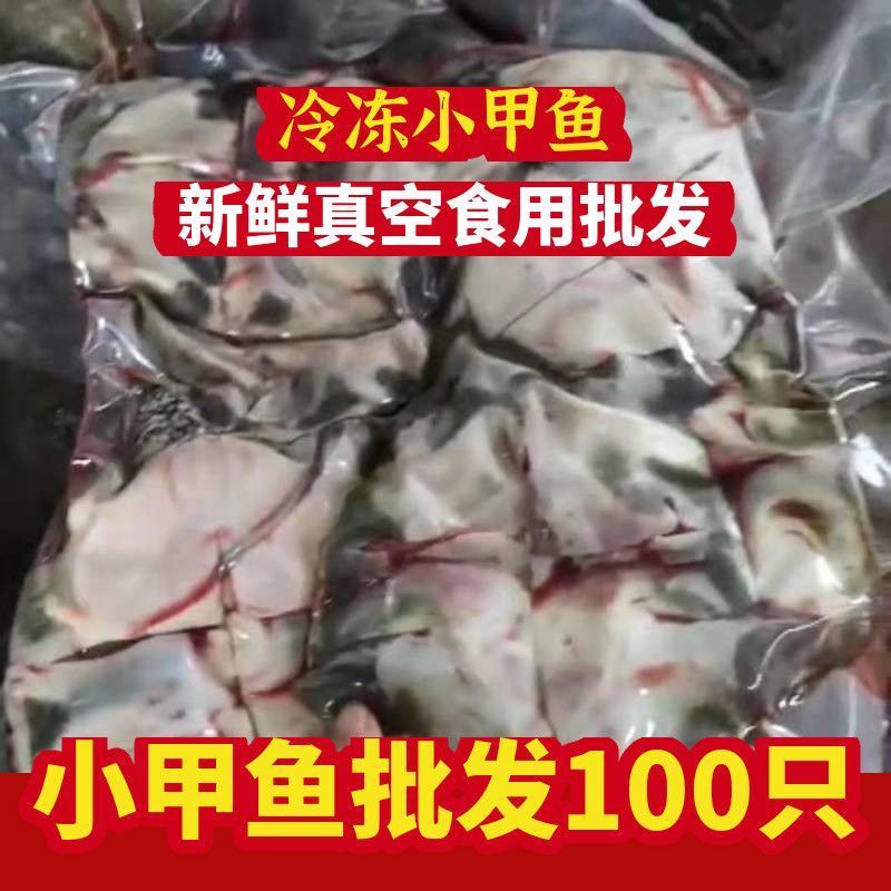 外塘鲜活现杀甲鱼水鱼团鱼批发价食用大小麻辣真空卤甲鱼生态