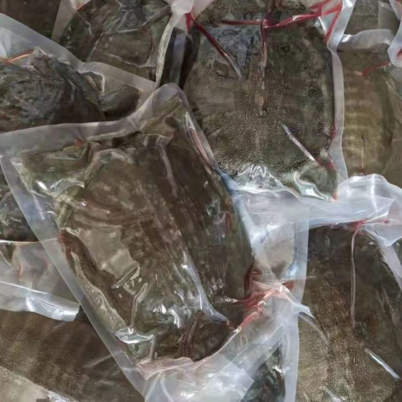 外塘鲜活现杀甲鱼水鱼团鱼批发价食用大小麻辣真空卤甲鱼生态