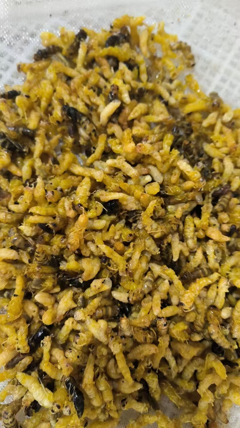 油炸蜂蛹树蜂蜂蛹，精品树蜂蜂蛹统货都有现货欢迎咨询