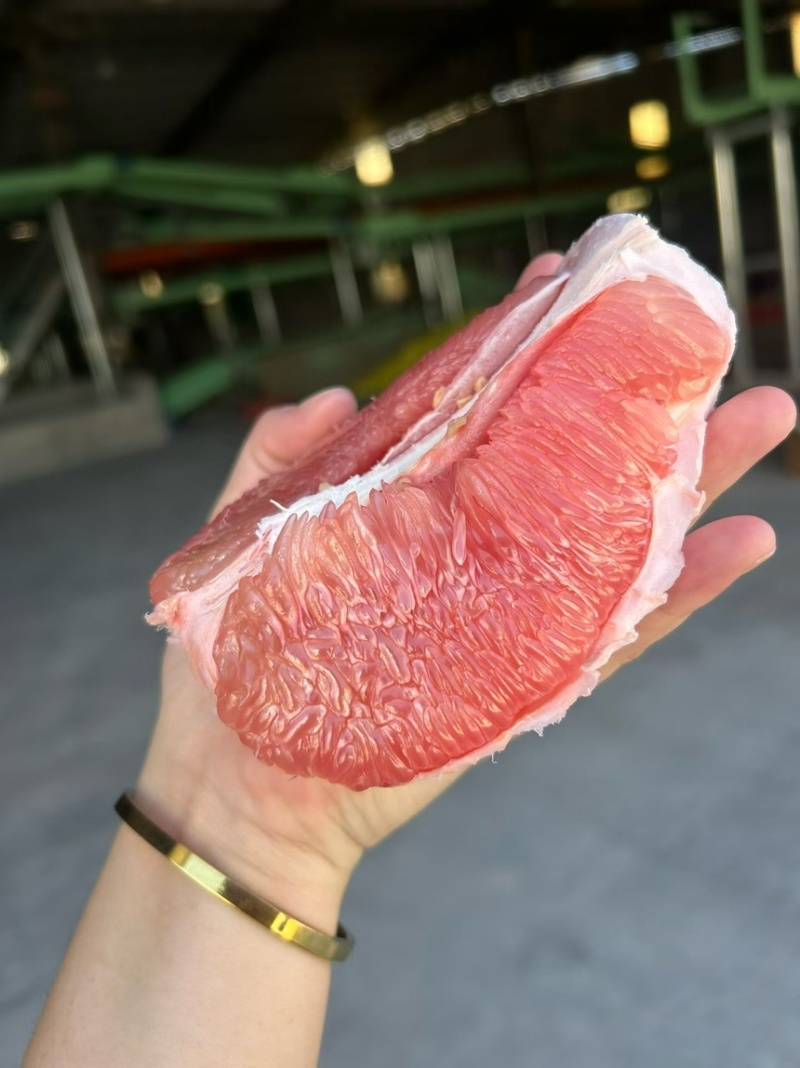 三红柚