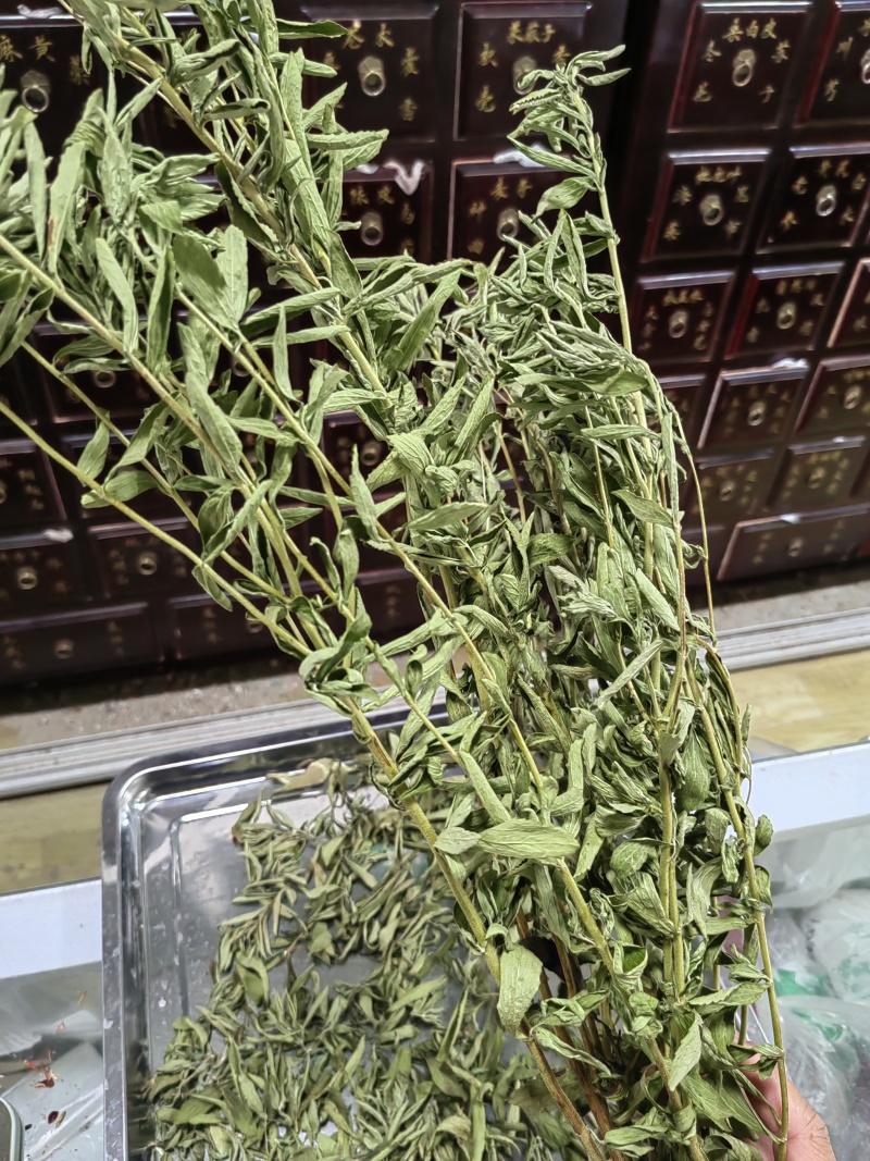 河南省淅川县甜叶菊种植销售