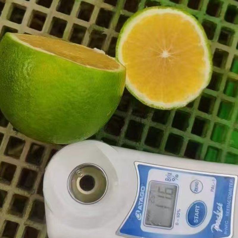 冰糖橙云南产地一手货源，规格齐全，口感好价格低货量大