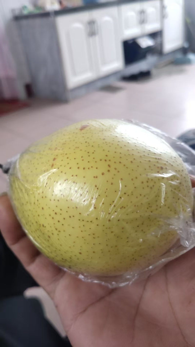 雪花梨，产地直供保质保量量大从优欢迎看货