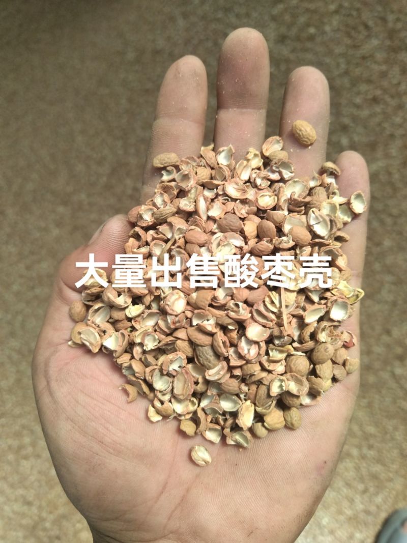 大量出售酸枣壳
