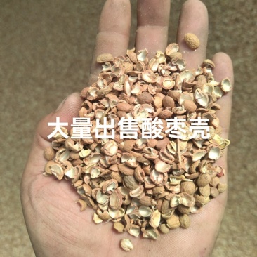 大量出售酸枣壳