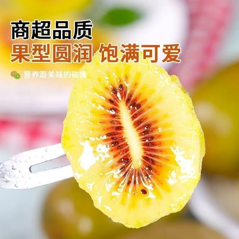 红心猕猴桃，产地直供保质保量，支持一件代发