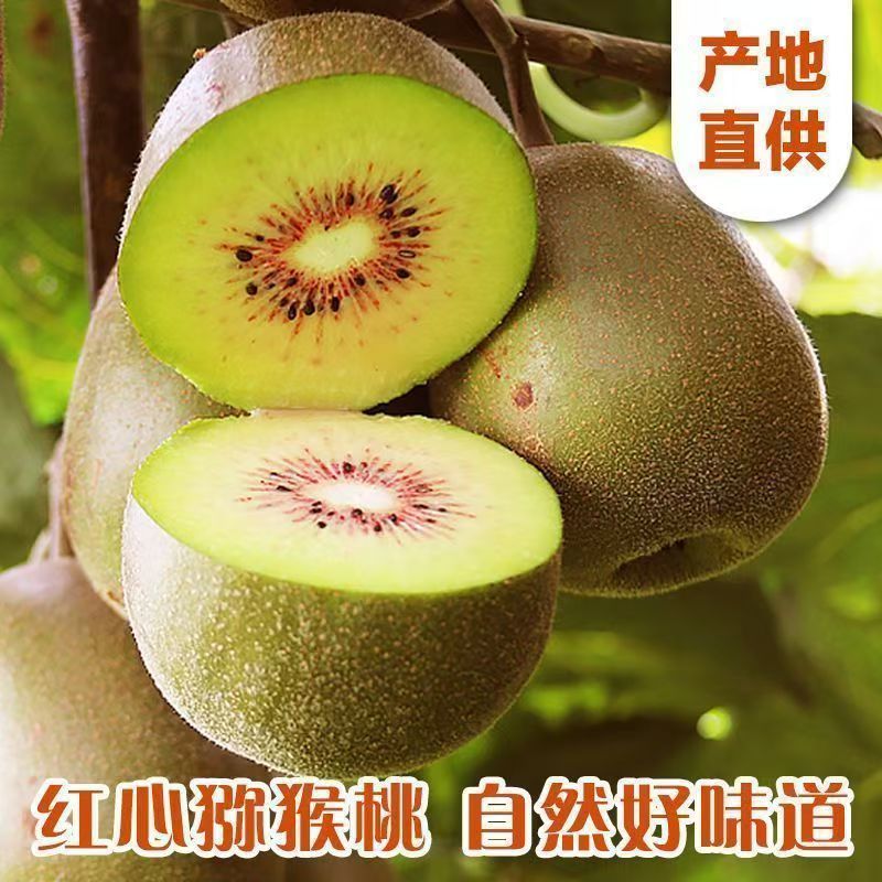 红心猕猴桃，产地直供保质保量，支持一件代发