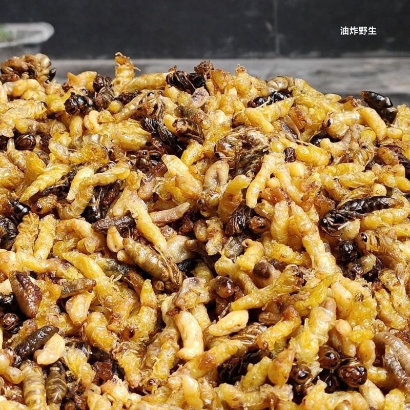 油炸蜂蛹树蜂蜂蛹，精品树蜂蜂蛹统货都有现货欢迎咨询