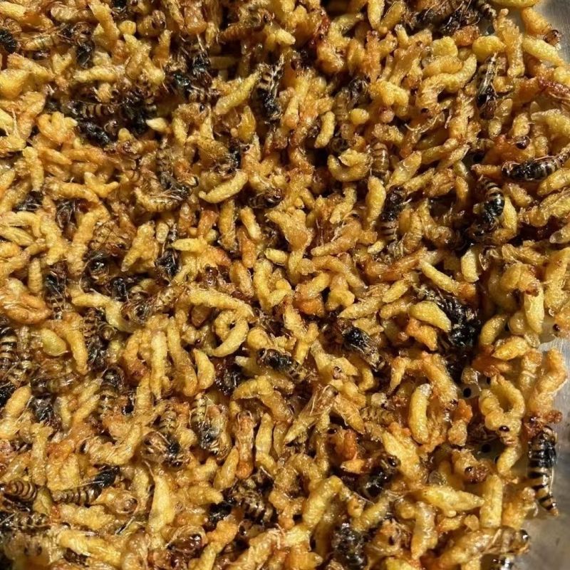 油炸蜂蛹树蜂蜂蛹，精品树蜂蜂蛹统货都有现货欢迎咨询