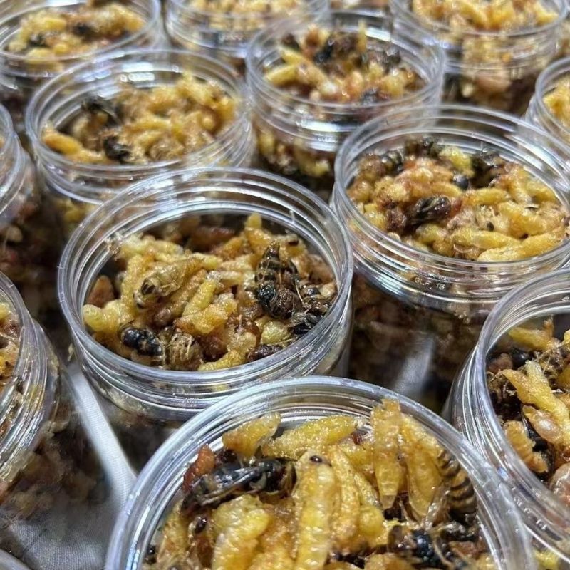 油炸蜂蛹树蜂蜂蛹，精品树蜂蜂蛹统货都有现货欢迎咨询