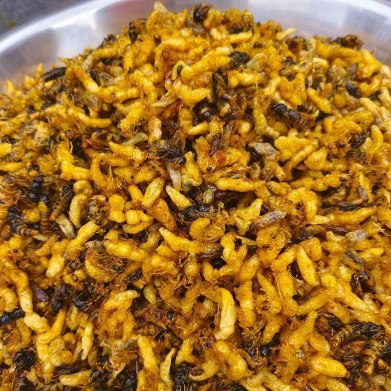 油炸蜂蛹树蜂蜂蛹，精品树蜂蜂蛹统货都有现货欢迎咨询