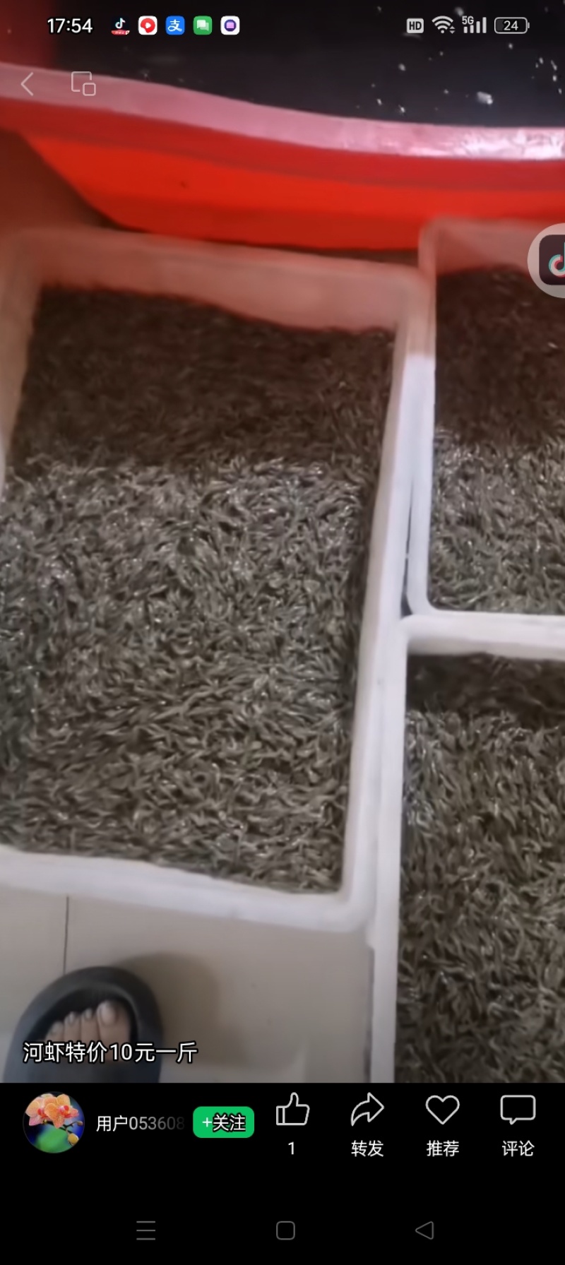 河虾