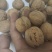 纸皮核桃185新货