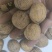 纸皮核桃185新货