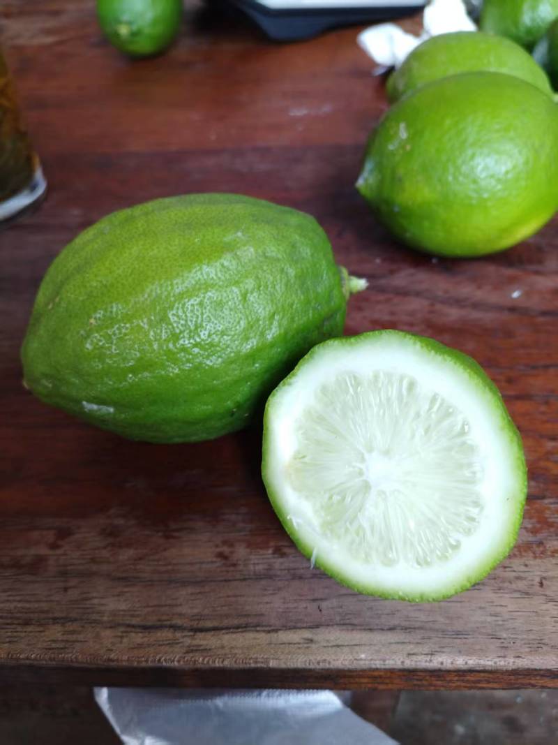 无籽柠檬香水柠檬