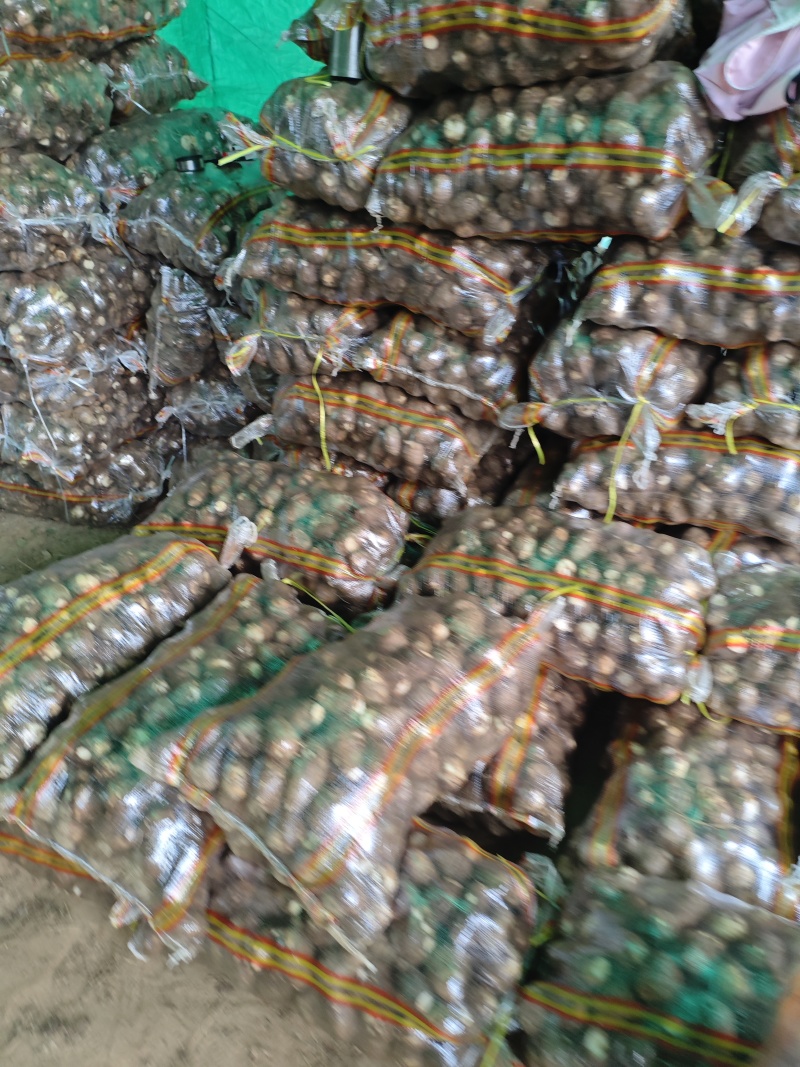 8520豆包芋头好吃，价格不会预购从速。